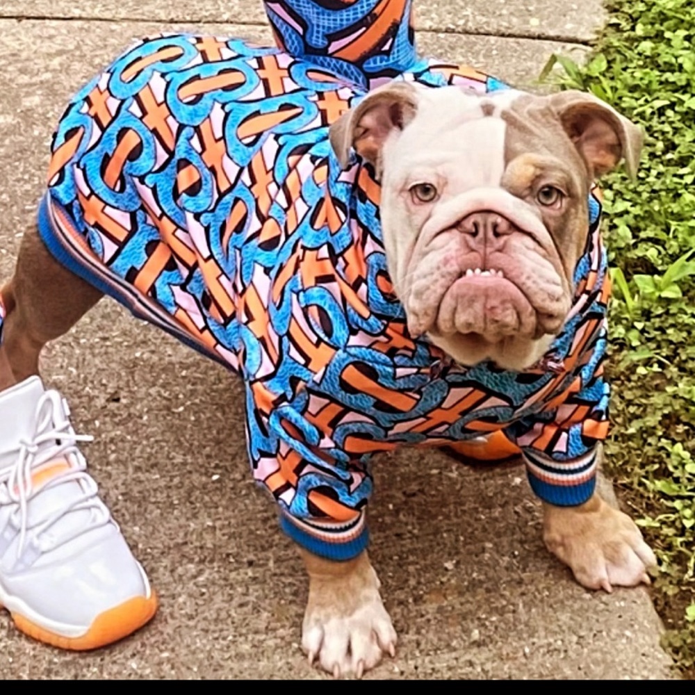 Pet clothes